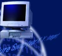 Software: Individuell, Standard, als Werbetr�ger